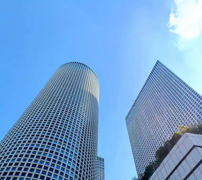 Reaching for the Sky: A Dreamer's Journey