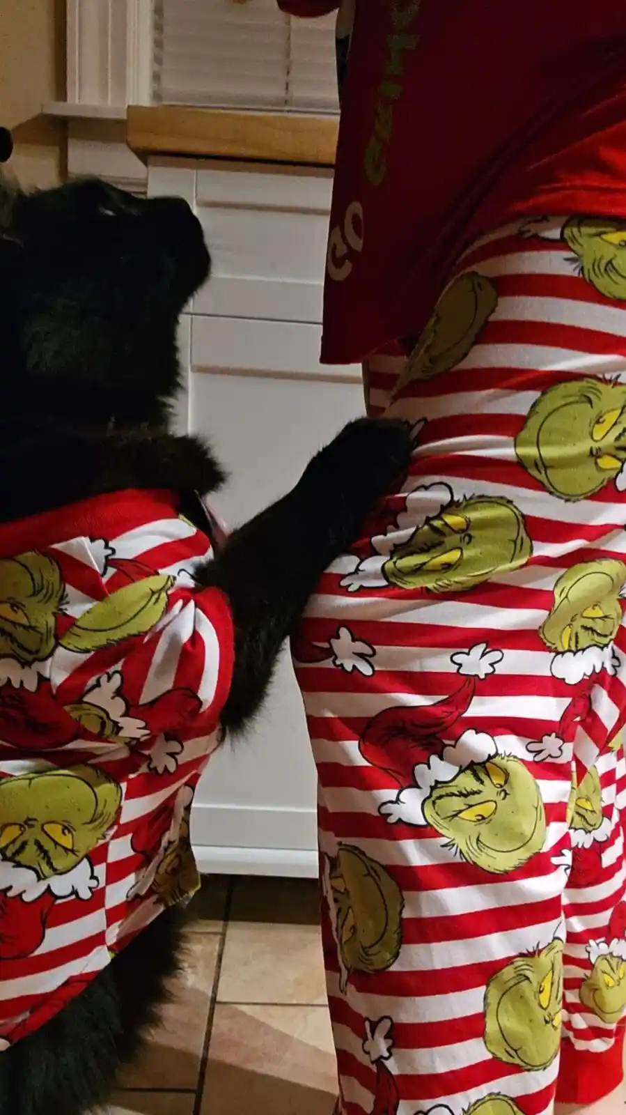 Anticipating Santa Paws' Arrival