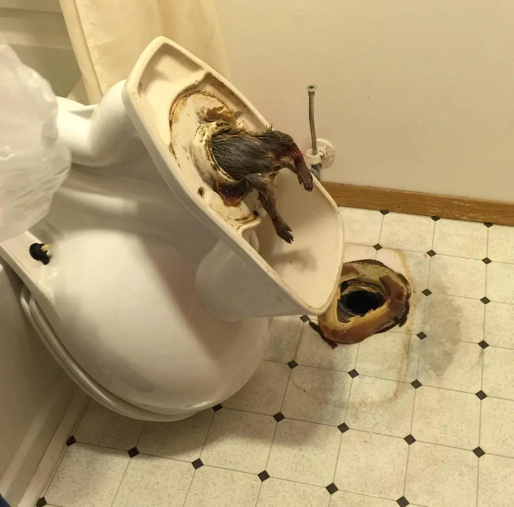 A Problem Has Been Identified