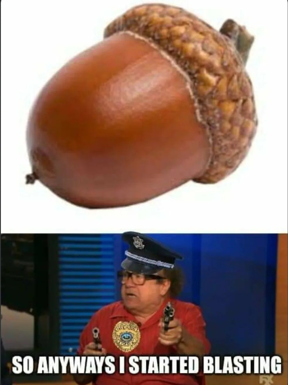 The image is split into two panels. The top panel shows a close-up of a single acorn against a white background. The bottom…