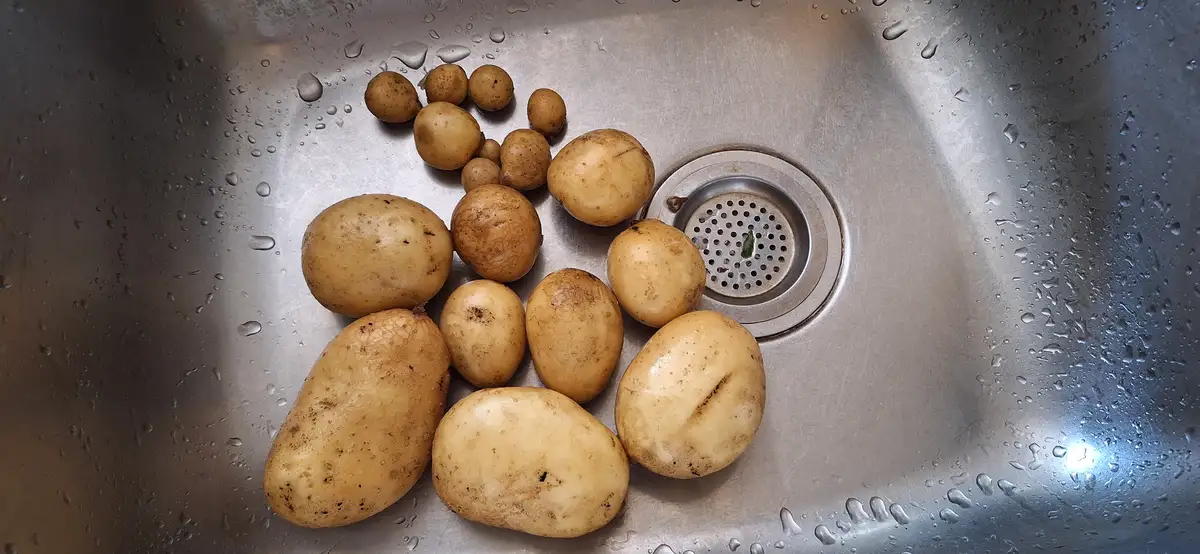 Harvest results: Not much to show this time