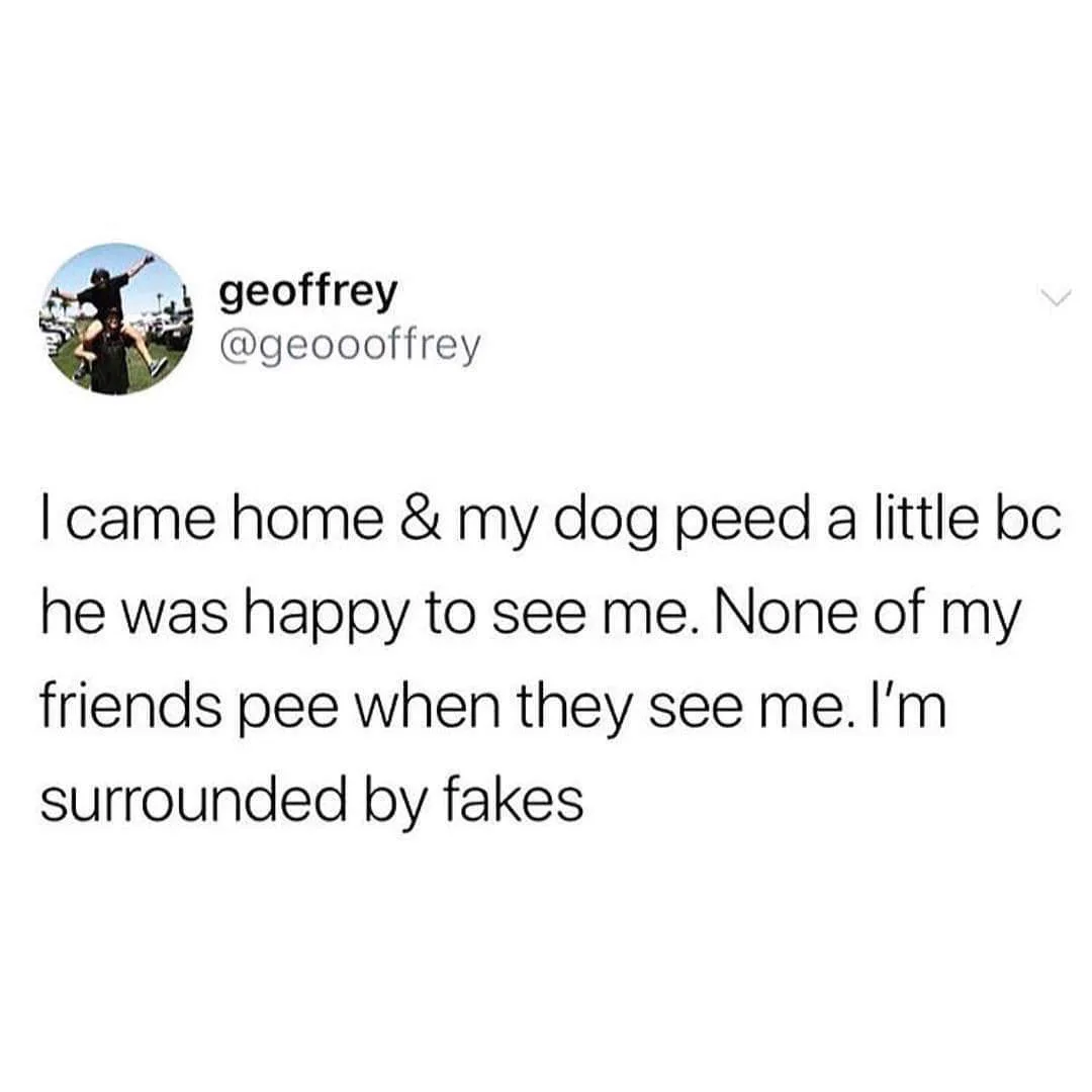 My Imgur Fans Never Pee When I Post: The Mystery