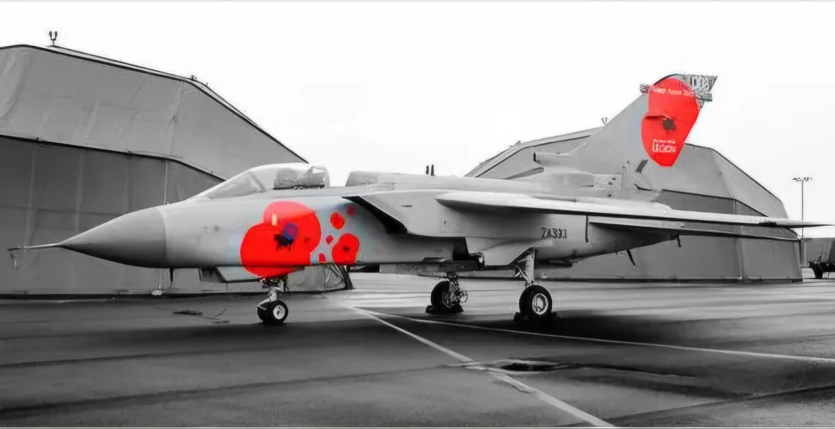 A grayscale image of a military jet fighter parked on an airfield tarmac, with large, bright red poppy decals painted on its…