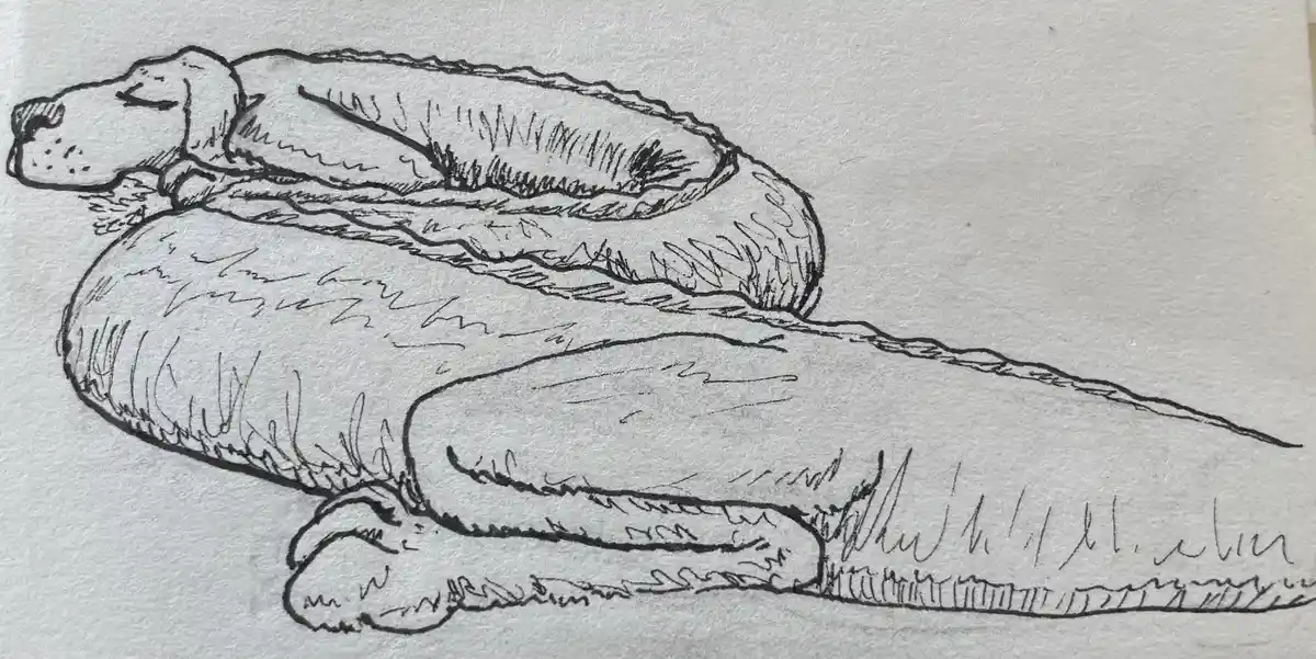 Inktober 2024 Day 19: The Mysterious 'Ridge'