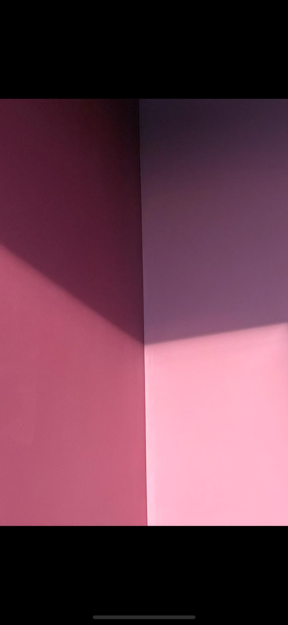 The image shows a minimalist corner of a room with walls painted in soft pink and purple hues, divided by a sharp shadow…