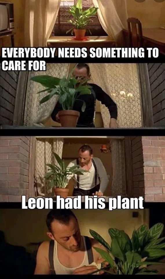 A three-panel meme from the movie 'Léon: The Professional' showing the character Leon tending to a potted plant. The top…