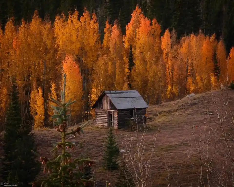 The Cozy Cabin Vibes