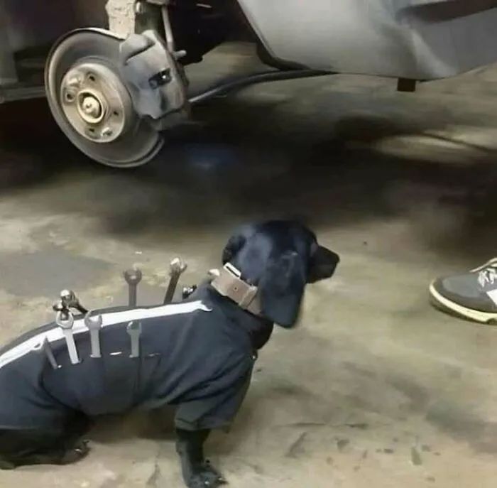 I’m Here to Help!