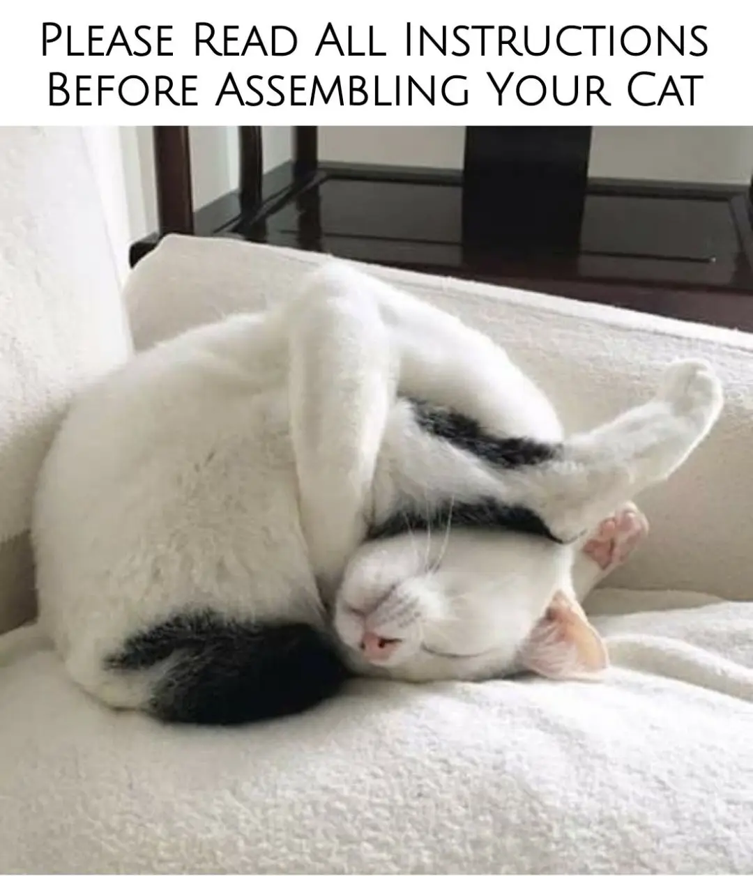 Time to Assemble: Let's Get to Work!