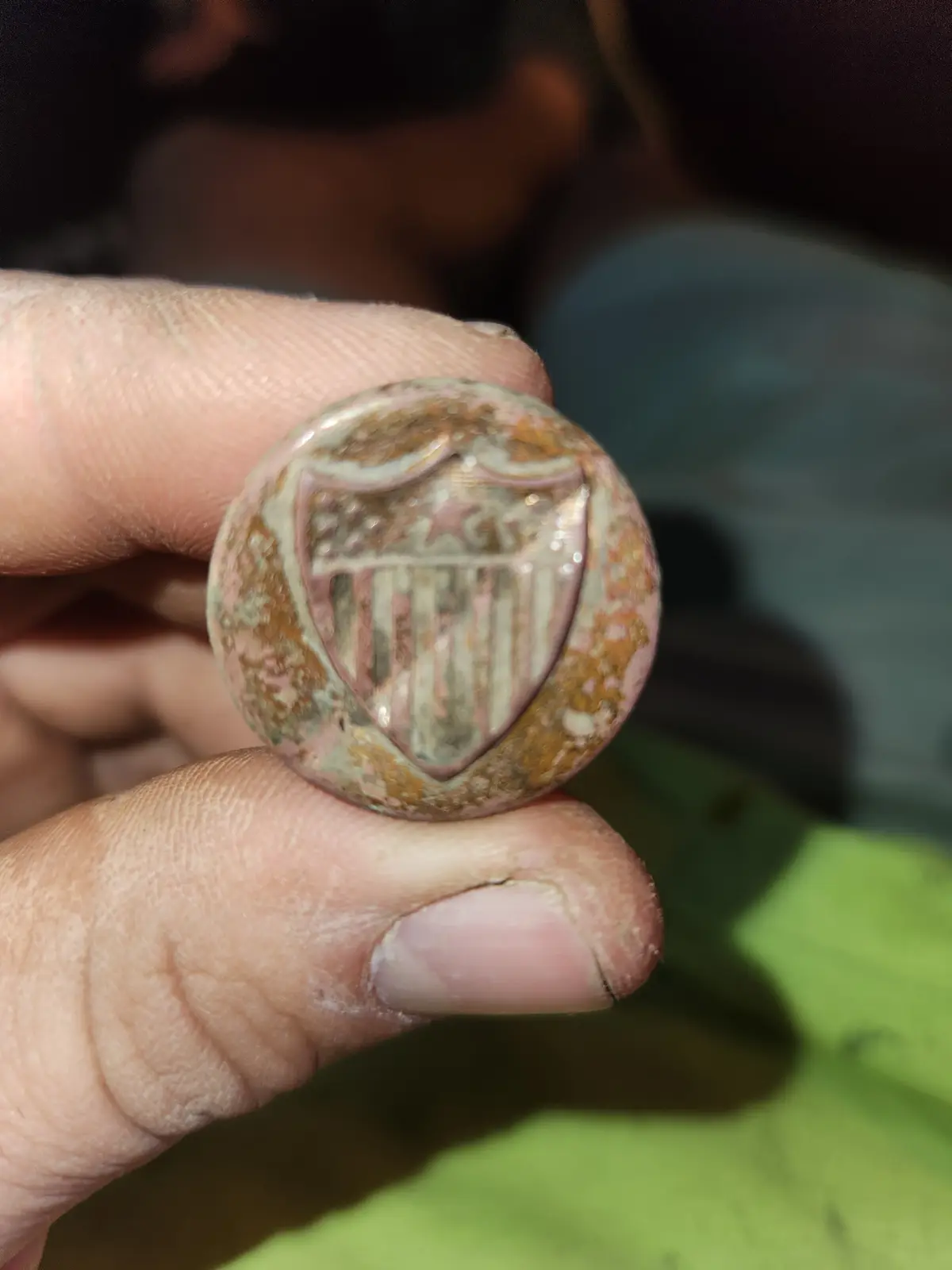 Treasure Unearthed: What I Discovered While Metal Detecting