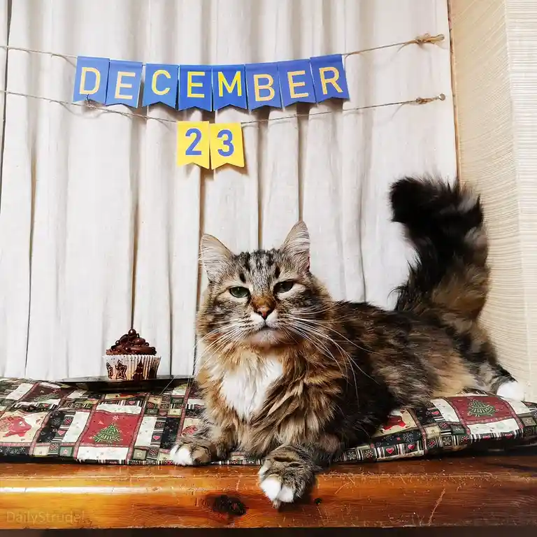 It's December 23rd, folks!