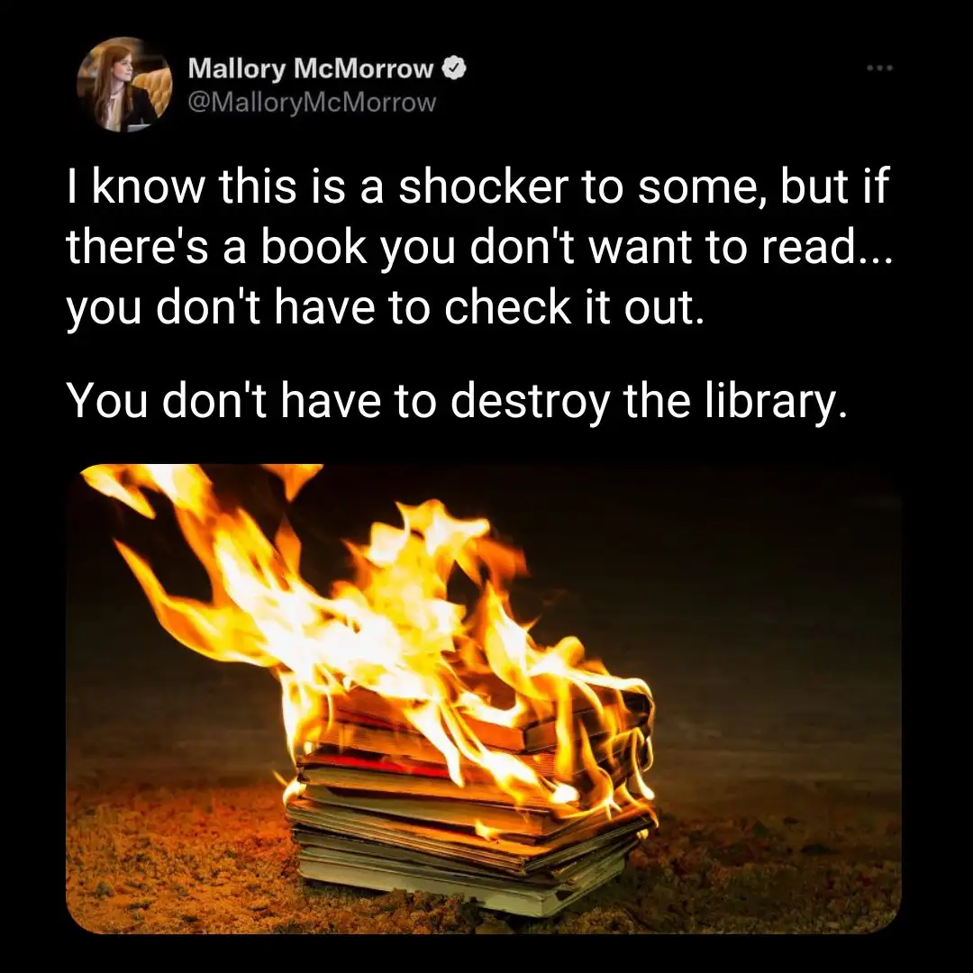 A screenshot of a tweet by Mallory McMorrow shows a stack of books on fire, with overlaid text stating that if you don't…