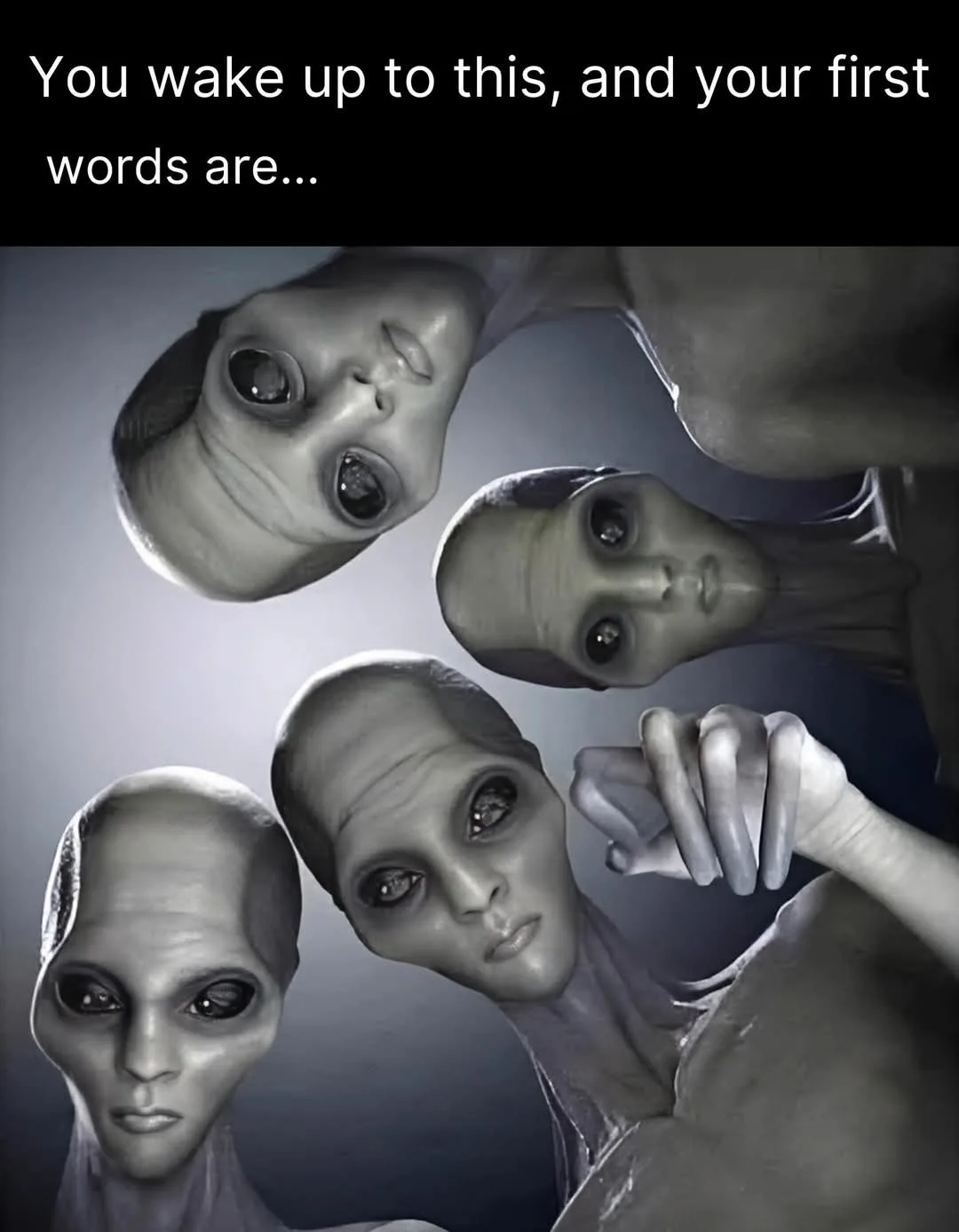 The image shows four grey aliens with large, dark eyes and elongated heads, looking down at the viewer from above against a…