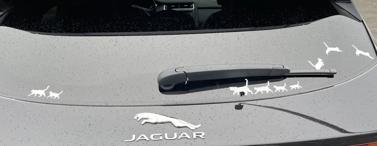 The rear of a gray Jaguar car is covered in raindrops and decorated with white cat silhouette decals. A row of cats walks…