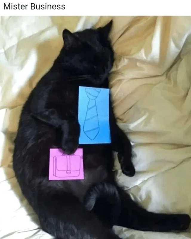 A black cat is sleeping on its side on a rumpled beige sheet, with a blue paper drawing of a tie taped to its chest and a…