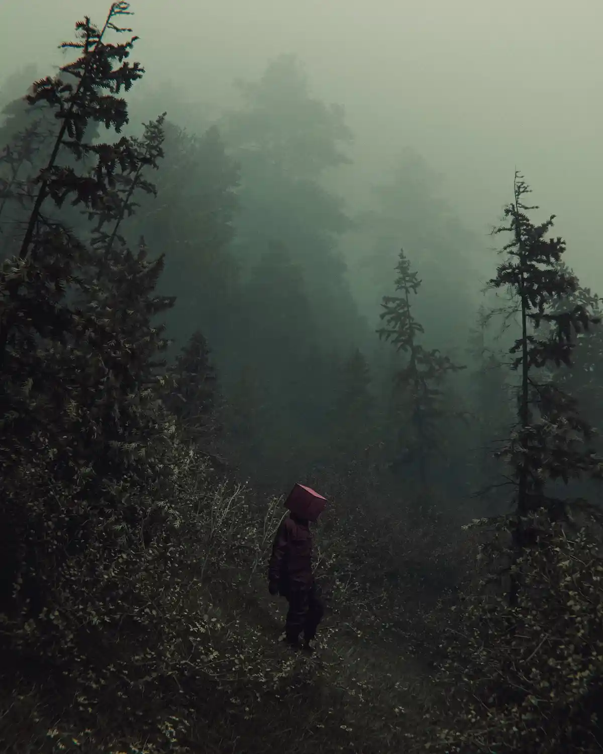 A Quiet Refuge: A Piece by Huleeb