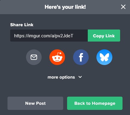 An Imgur interface showing a 'Share Link' section with a URL and a green 'Copy Link' button. Below are icons for email…