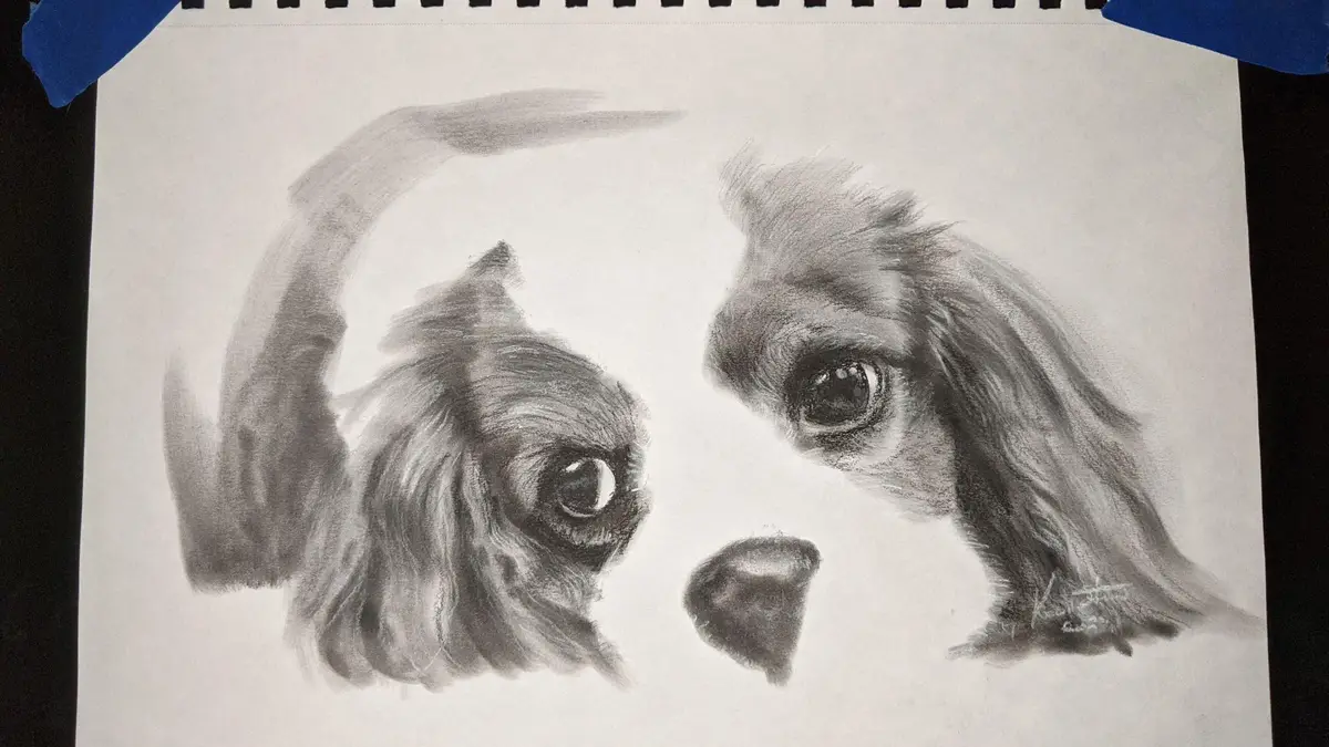 Today's Daily Sketch