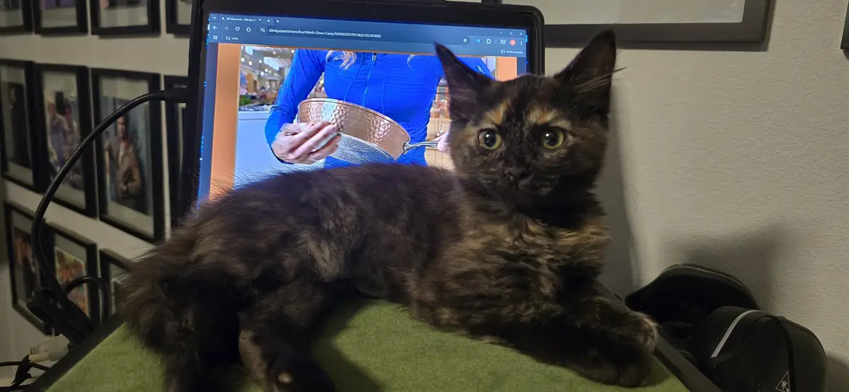 Meet Our New Bundle of Joy!