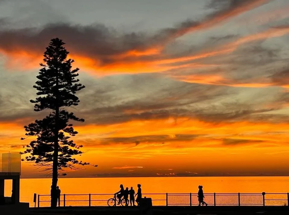 A serene sunset photo shows silhouettes of people walking and cycling along a waterfront promenade, with a tall pine tree on…