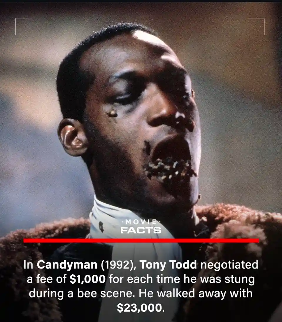So He Really Got Stung Five Times, Right?