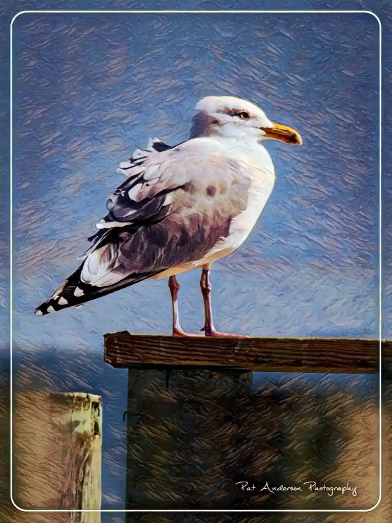A stylized, painterly image of a seagull perched on a wooden post against a textured blue background. The bird is white and…