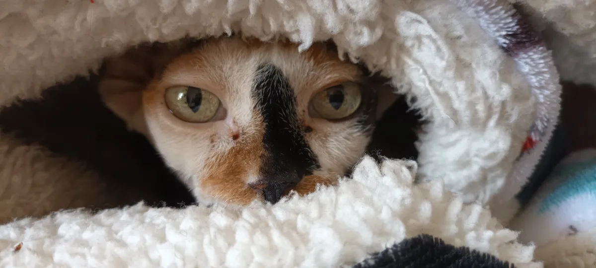 It's Way Too Cold Outside!