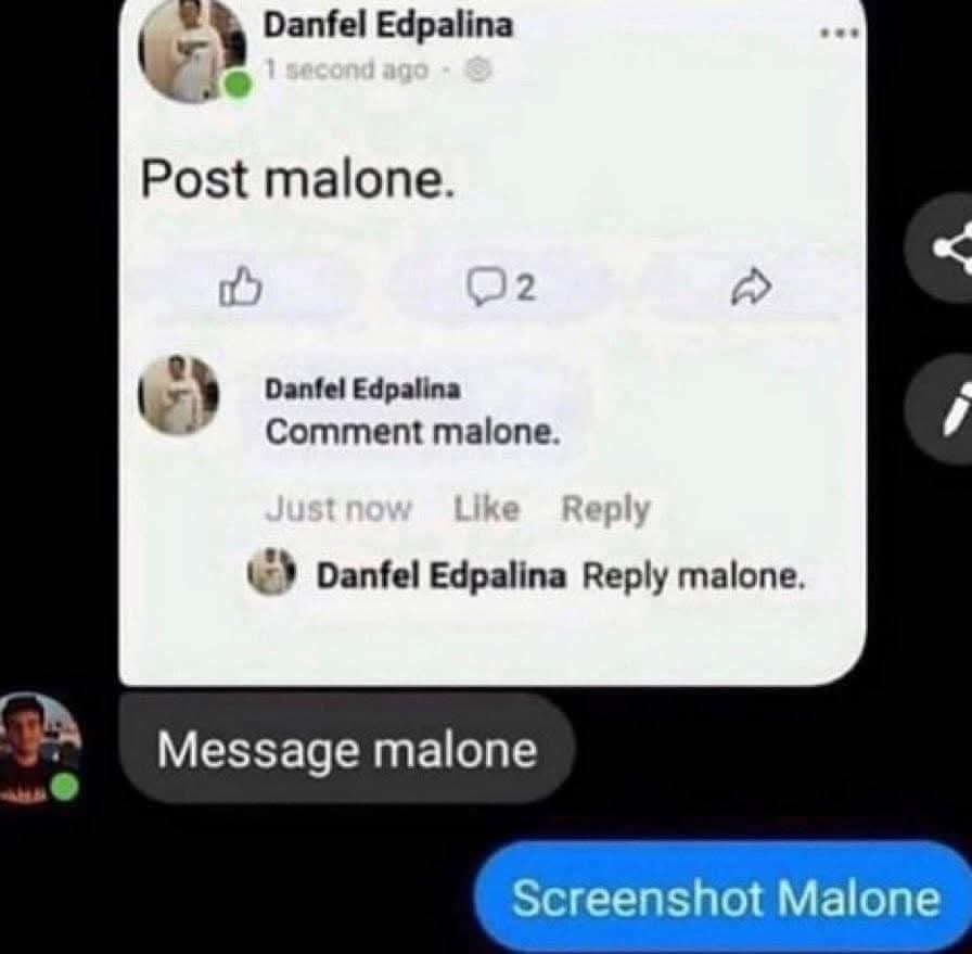 A screenshot of a social media post by 'Danfel Edpalina' that reads 'Post malone.' followed by their own comment 'Comment…