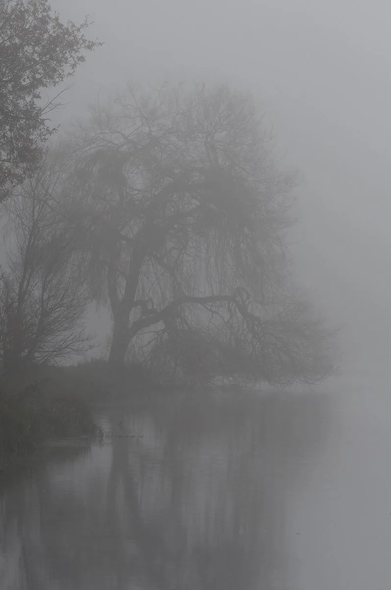 Exploring Etang de Fleix in France - A Hidden Gem