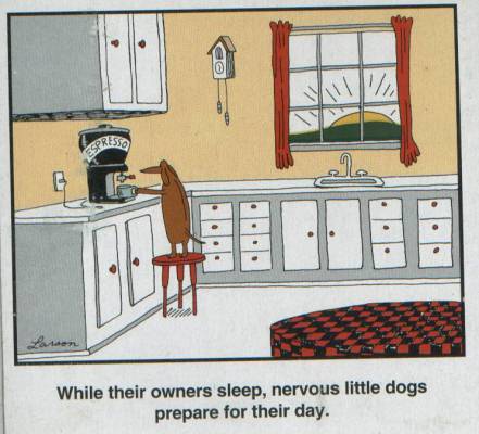 A cartoon depicts a brown dachshund standing on a red stool in a kitchen, nervously operating an espresso machine. The…