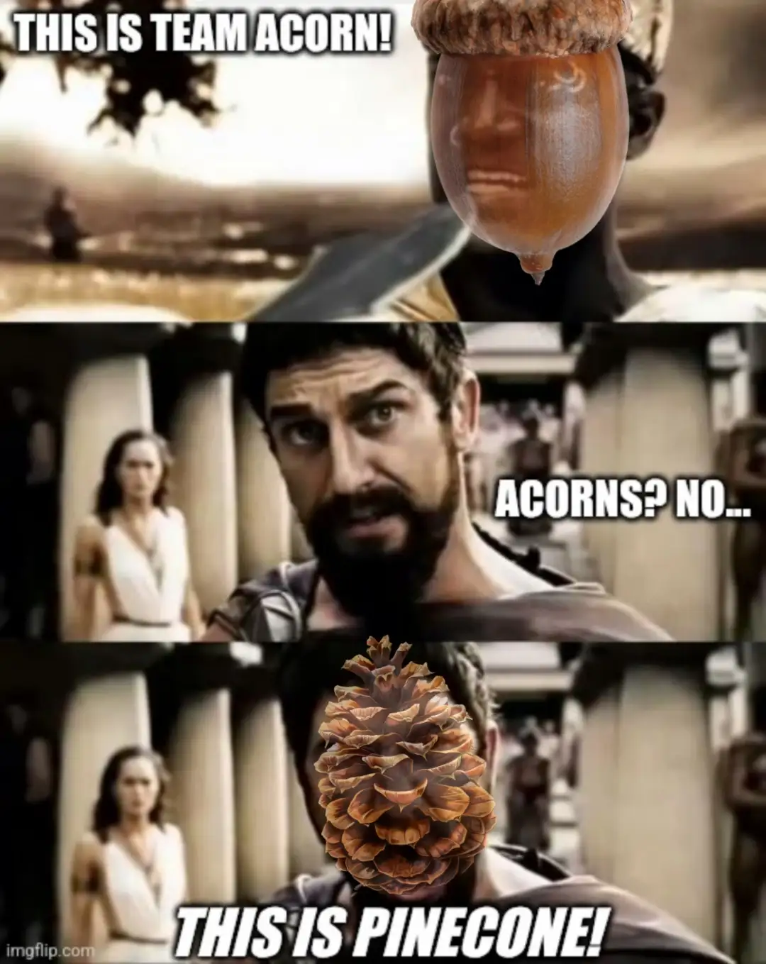 The legendary 300 Pinecones!