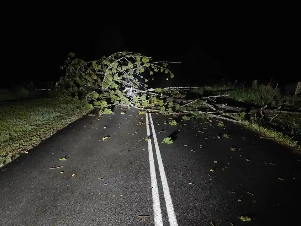 Clearing the Aftermath of a Storm: Fallen Tree Edition