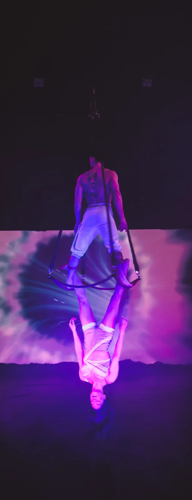 A shirtless man with a back tattoo stands on a suspended aerial hoop, holding a woman upside down by her ankles. The woman…