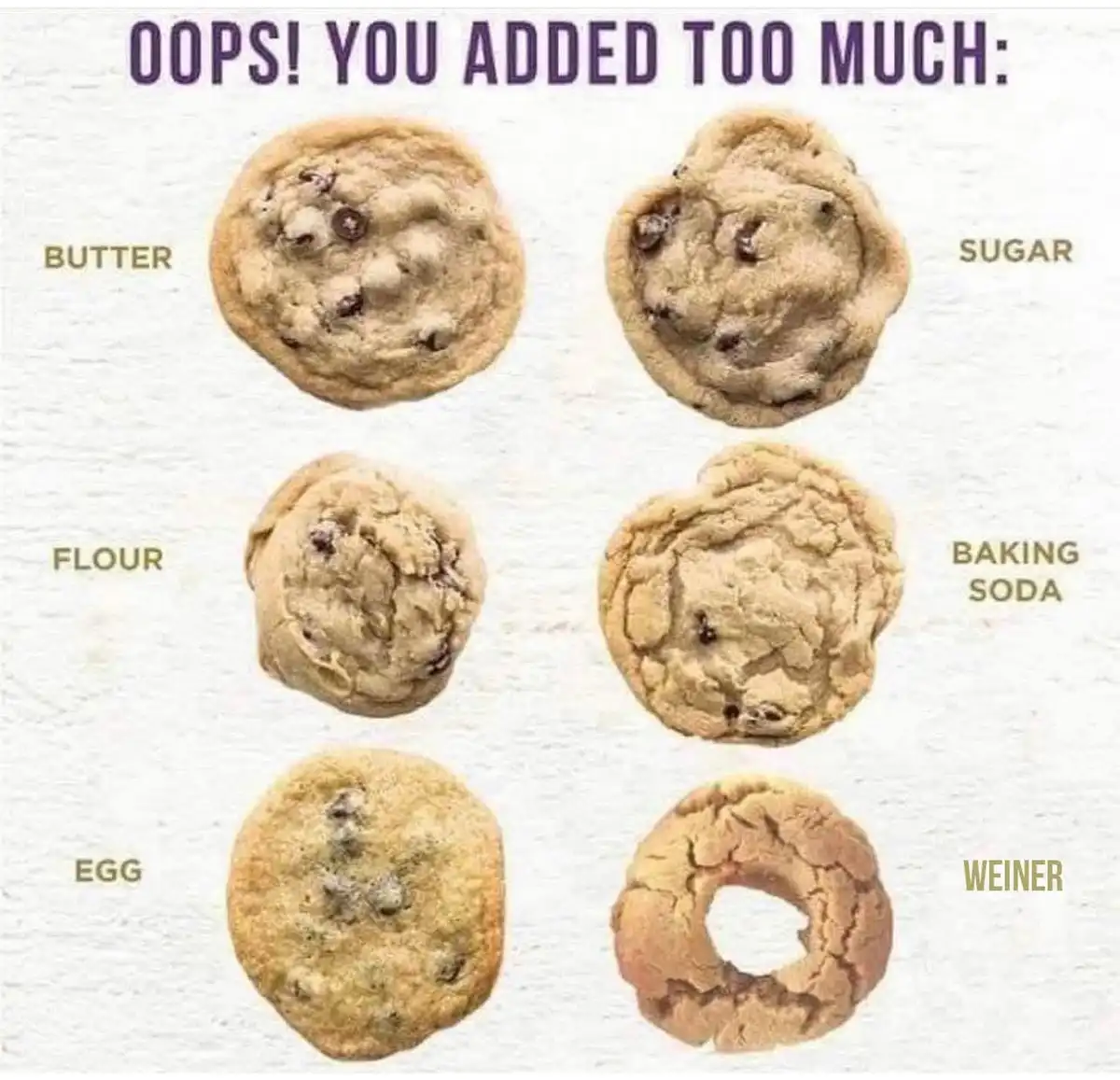 Oops, My Apologies!