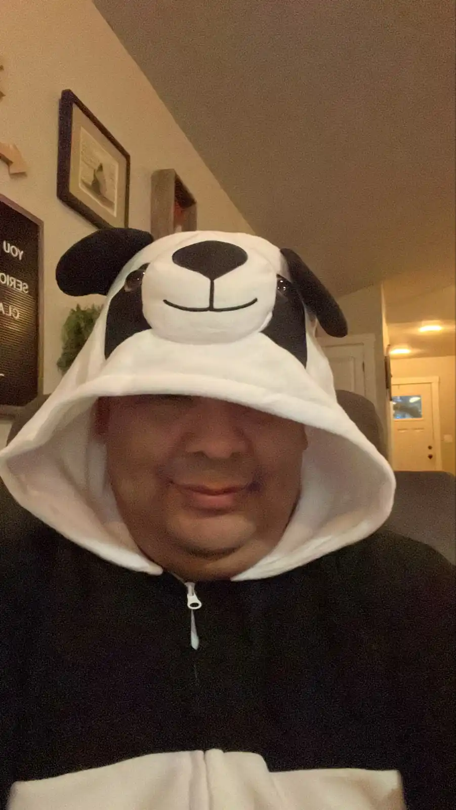 A person wearing a black and white dog-themed hoodie with a large dog face on the hood, obscuring their eyes, while smiling…