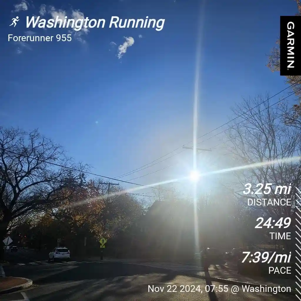 A screenshot from a Garmin Forerunner 955 running watch displays a bright, sunny street scene with bare trees and power…