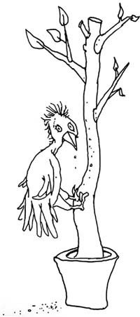 A black-and-white line drawing shows a cartoonish bird with spiky feathers perched on a bare, potted tree. The bird is…