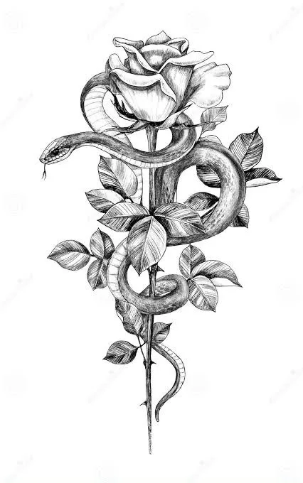 A detailed black-and-white pencil drawing shows a snake coiled around the stem of a rose, with the snake's head near the…