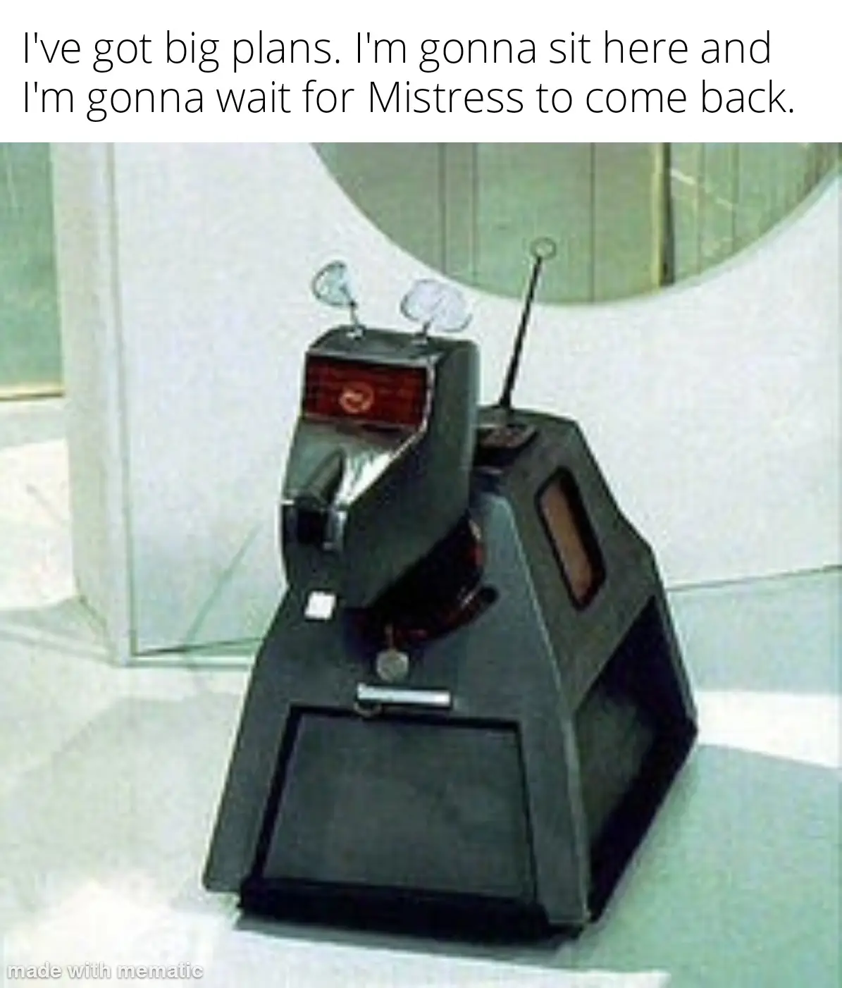 Big Plans Ahead: Waiting for Mistress to Return