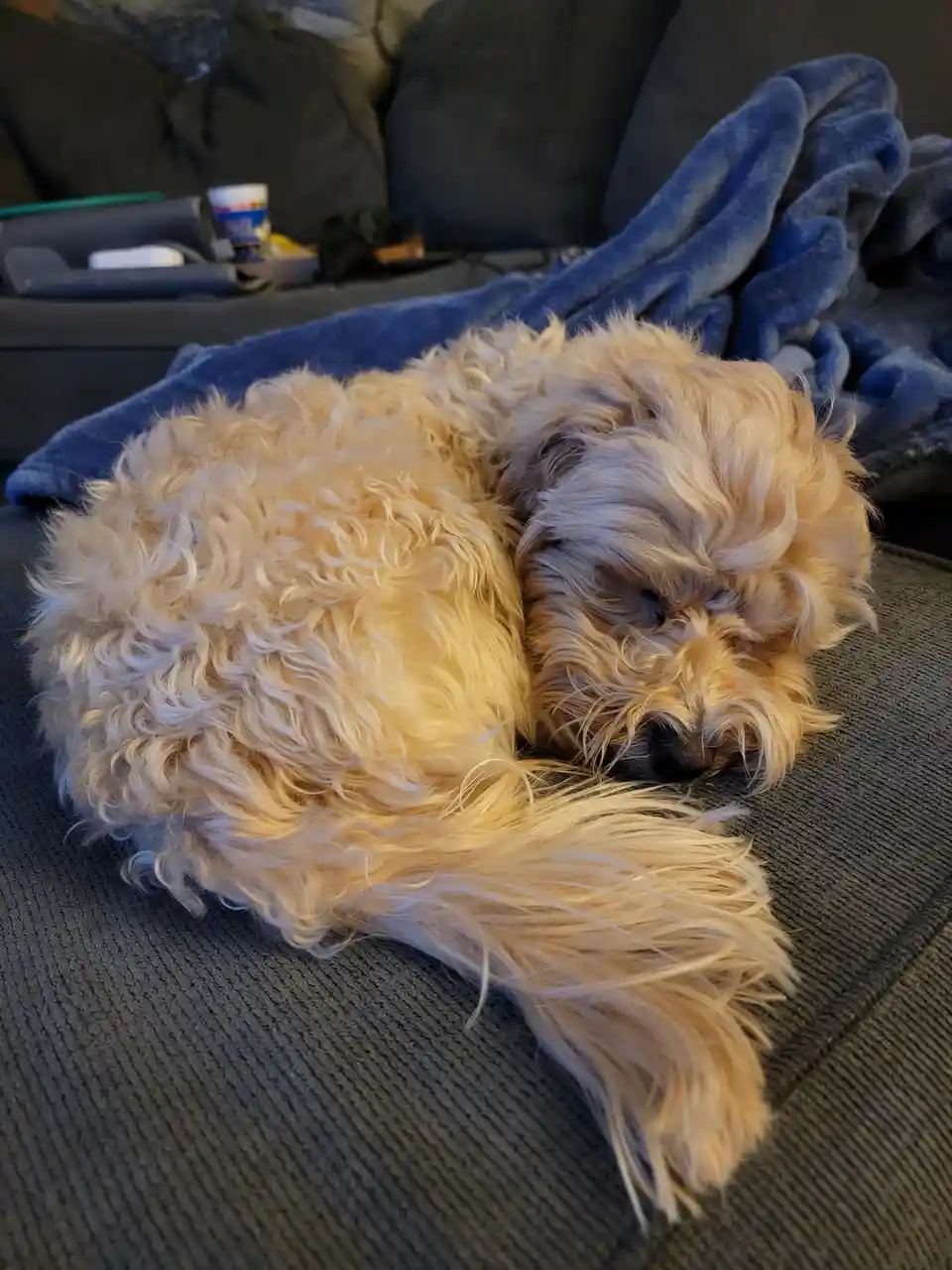 Time for a Well-Deserved Nap