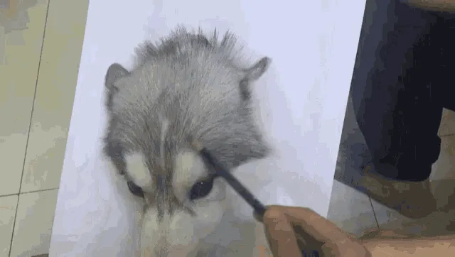 This is So Incredibly Realistic
