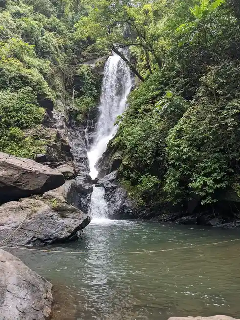 Check out this beautiful fall in Goa!