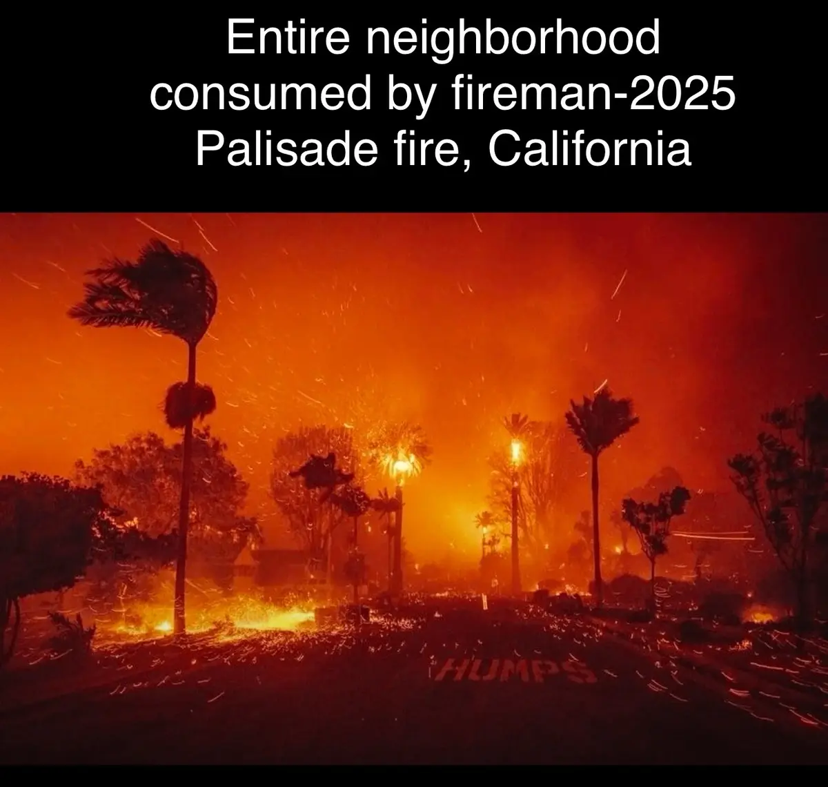 Palisade Fire: California, January 2025