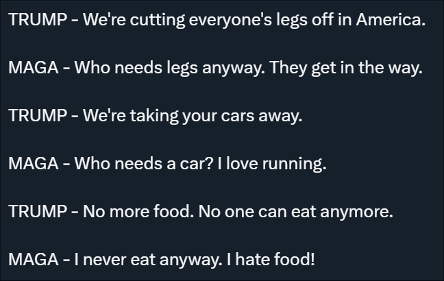 The Current State of MAGA in a Nutshell
