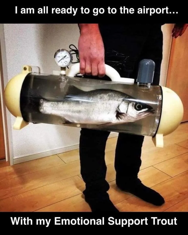 A person in black pants and socks is holding a transparent, cylindrical, portable fish tank with a handle, containing a live…