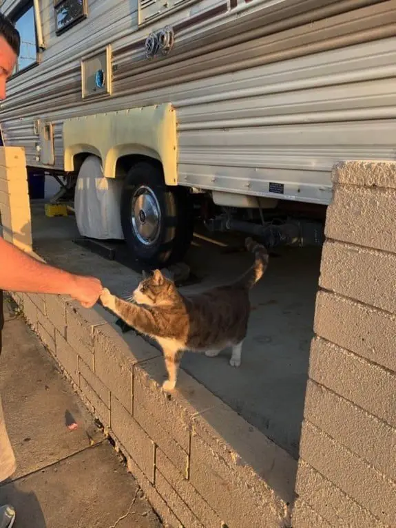 The Perfect Fist Bump Moment
